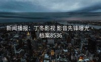 新闻播报：丁冬影视 影音先锋曝光 · 档案8536