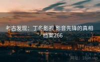 考古发现：丁冬影视 影音先锋的真相 · 档案266