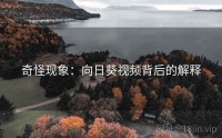 奇怪现象：向日葵视频背后的解释
