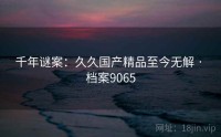千年谜案：久久国产精品至今无解 · 档案9065