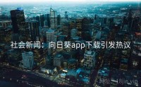 社会新闻：向日葵app下载引发热议
