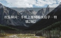 欢乐瞬间：手机上推特相关段子 · 特辑2862