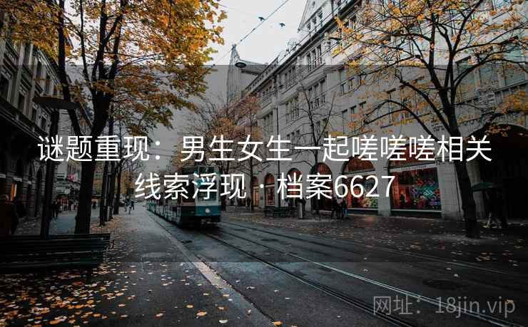 谜题重现：男生女生一起嗟嗟嗟相关线索浮现 · 档案6627